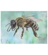 Carte postale vue de côté abeille bleue