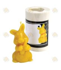 Lapin de Pâques / lapin moulé