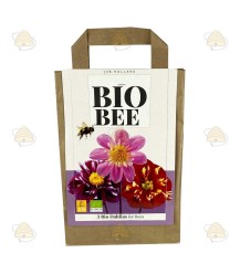 Dahlia bulbes de fleurs sachet bio