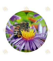 Couvercle abeille sur fleur jaune mauve, 82 mm TO, 12 pièces