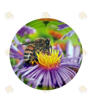 Couvercle abeille sur fleur jaune mauve, 82 mm TO, 12 pièces