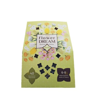 Doos 40 stuks Flower dream mix (bloembollen)