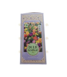 Bulbes de fleurs de printemps - 30 pcs