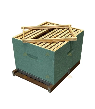 Dadant Blatt bijenkast (1BK) - zeegroen geverfd