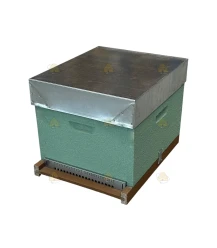 Ruche Dadant Blatt 10 cadres - vert sauge