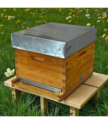 Dadant Blatt bijenkast (1BK)