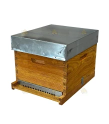 Ruche Dadant Blatt 10 cadres - imprégnée