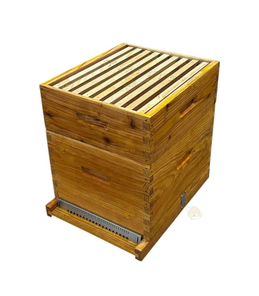 Dadant Blatt bijenkast (1BK, 1HK) - geïmpregneerd