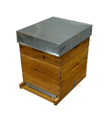 Ruche Dadant Blatt (1 corps, 1 hausse) - imprégnée