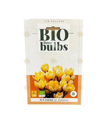 Crocus Sp. Romance, 15 stuks (bloembollen, bio)