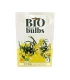 Tulipa tarda Dasystemon, 10 stuks (bloembollen, bio)