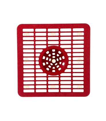 Entrée sélective avec cône pour frelon asiatique Entrée sélective avec cône pour frelon asiatique