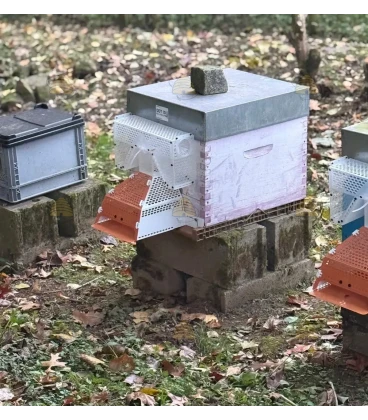 Muselière de protection anti-frelons asiatiques avec boîte de capture