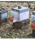 Muselière de protection anti-frelons asiatiques avec boîte de capture