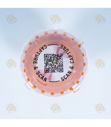 Piège sélectif à frelons asiatiques avec technologie de diffusion -  Good4Bees