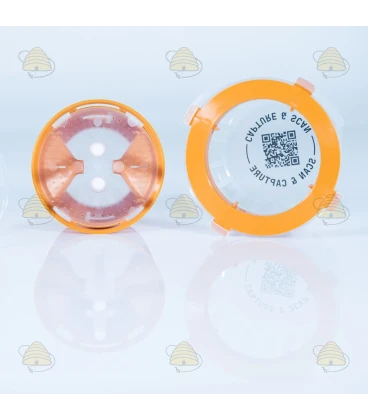 Piège sélectif à frelons asiatiques avec technologie de diffusion -  Good4Bees