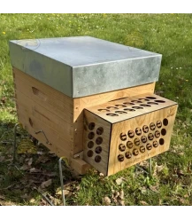 Aziatische hoornaar bescherming ARTHAK®
