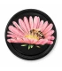 Couvercles motif abeille sur fleur TO 63 mm - 60 pcs