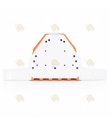 Muselière de protection anti-frelons asiatiques avec boîte de capture - Good4Bees