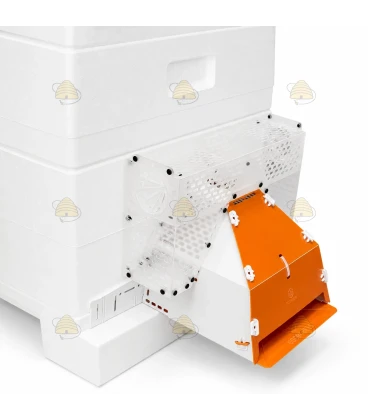 Muselière de protection anti-frelons asiatiques avec boîte de capture - Good4Bees
