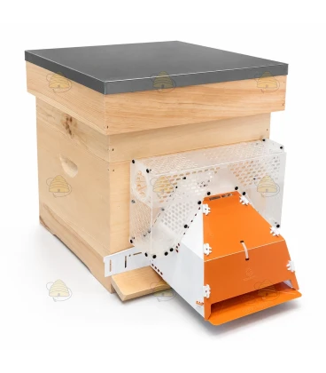 Muselière de protection anti-frelons asiatiques avec boîte de capture - Good4Bees