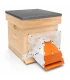 Muselière de protection anti-frelons asiatiques avec boîte de capture - Good4Bees