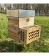 Protection contre les frelons asiatiques ARTHAK®