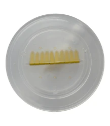 Sortie d'abeille modèle allemand 9,9 cm