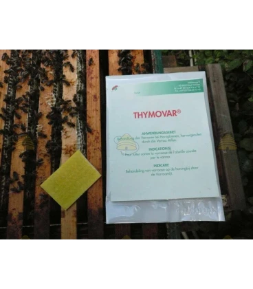 Thymovar® – Traitement contre le Varroa (REG NL 10330)