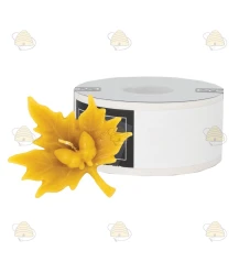 Feuille avec glands, moulée Feuille avec glands, moulée