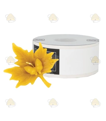 Feuille avec glands, moulée Feuille avec glands, moulée