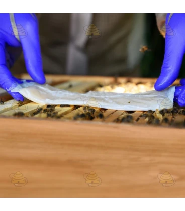 Formic Pro 2 x 2 bandes (REG NL 126198)