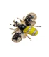 Broche abeille jaune et noire